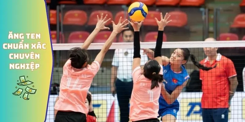 Ăng ten chuẩn xác đầy chuyên nghiệp