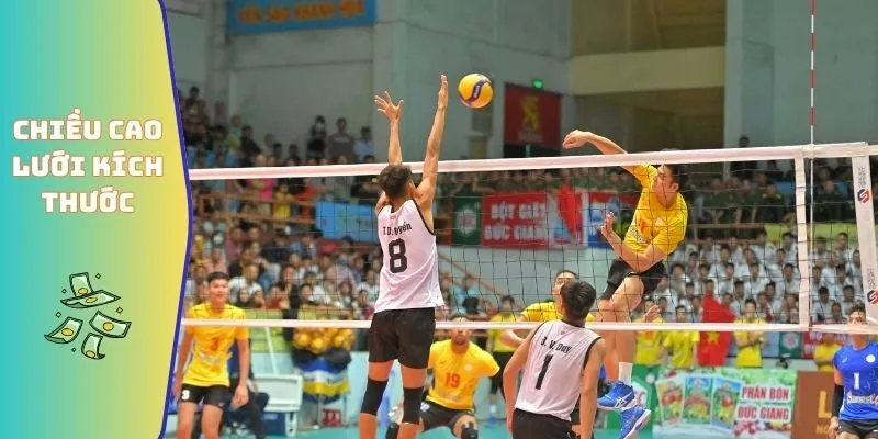 Chiều cao lưới chuẩn kích thước