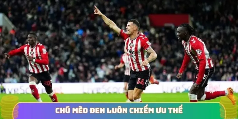 Chú mèo đen luôn chiếm ưu thế