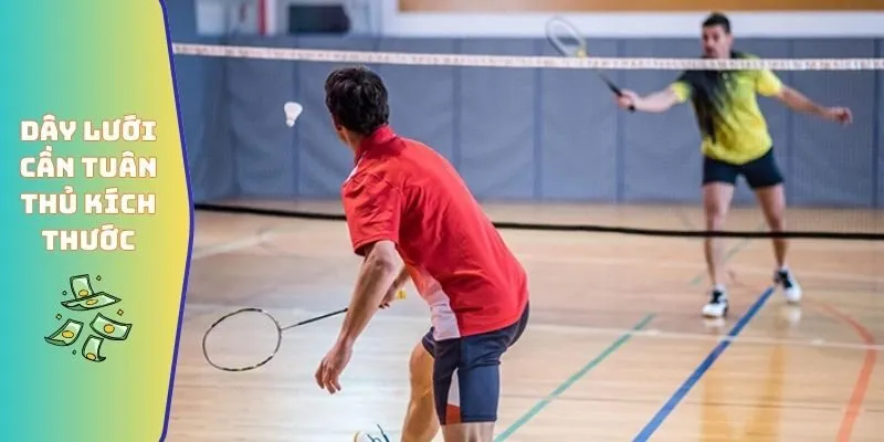 Dây lưới cần tuân thủ kích thước