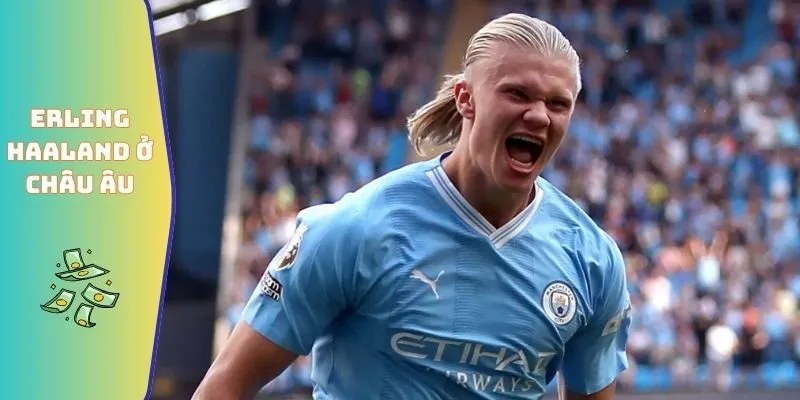 Erling Haaland ở đấu trường châu Âu