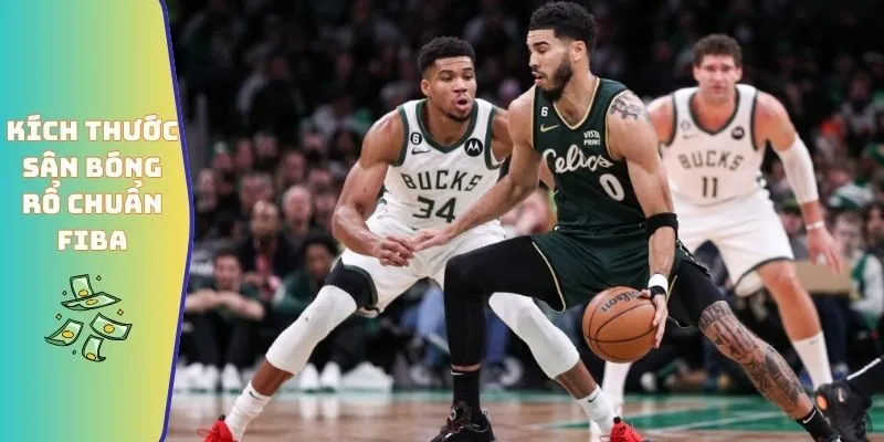 Kích thước sân bóng rổ chuẩn FIBA