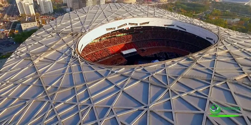 sân vận động tổ chim