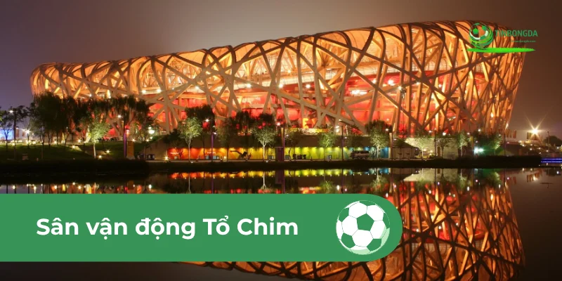 sân vận động tổ chim