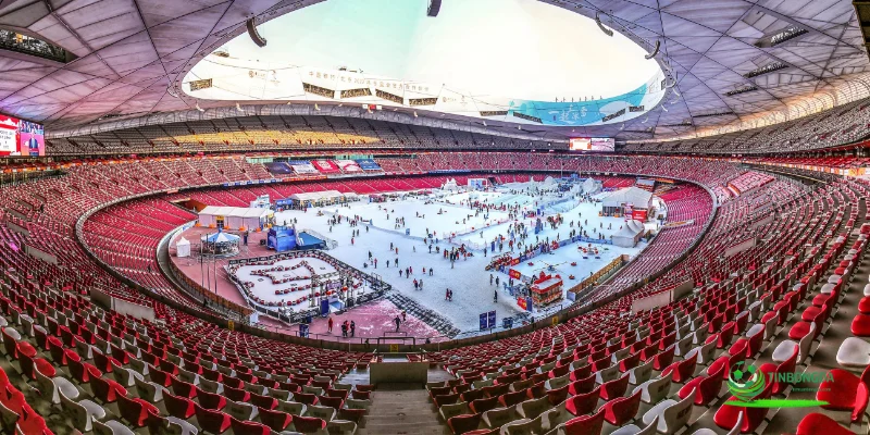 sân vận động tổ chim