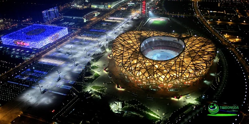 sân vận động tổ chim