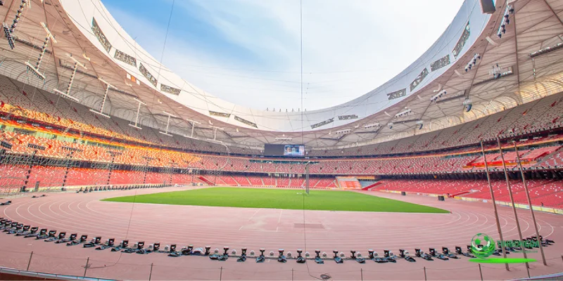 sân vận động tổ chim