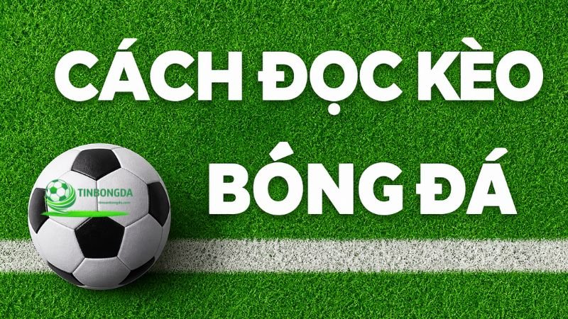 Đọc kèo bóng đá không hề đơn giản, cần phải tìm hiểu kỹ