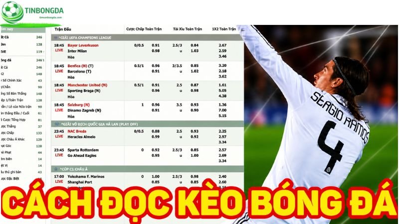 Việc đọc kèo bóng đá rất quan trọng trong cá cược