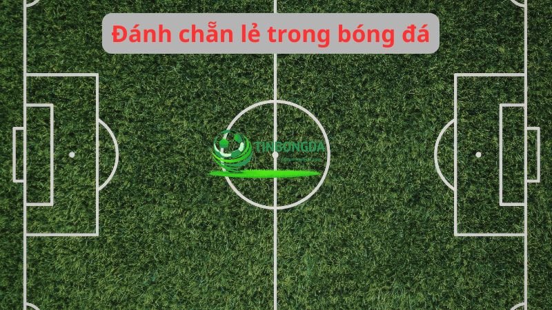 Phong độ hai đội ảnh hưởng đến kèo chẵn lẻ
