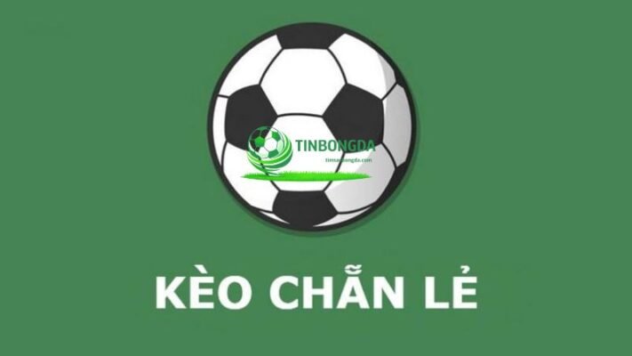 Đánh chẵn lẻ trong bóng đá được nhiều người lựa chọn