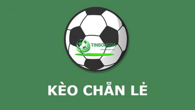 Đánh chẵn lẻ trong bóng đá được nhiều người lựa chọn