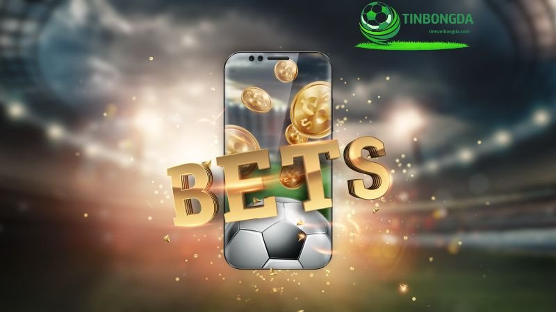 Những thuật ngữ về tỷ lệ odds và cách tính tiền