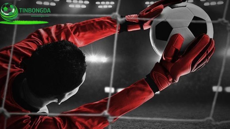 Hãy theo dõi thông tin lực lượng khi đặt cược